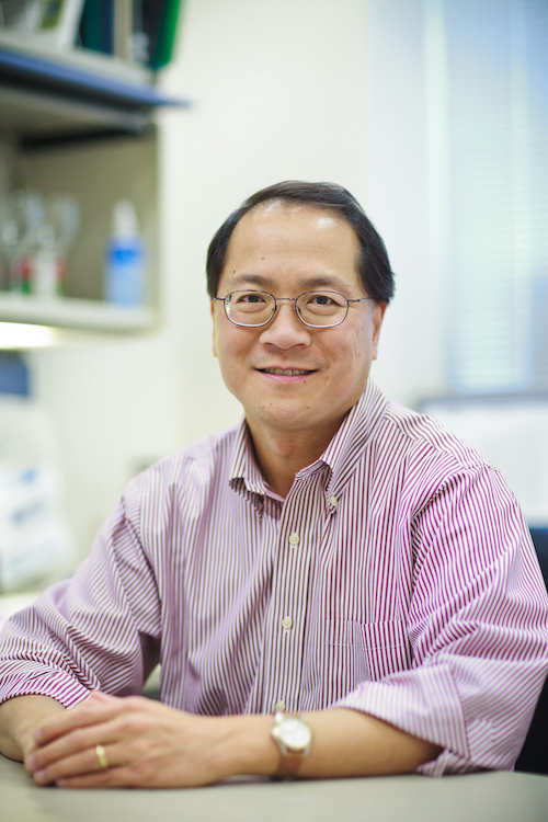 Andy Chan, M.D., Ph.D.